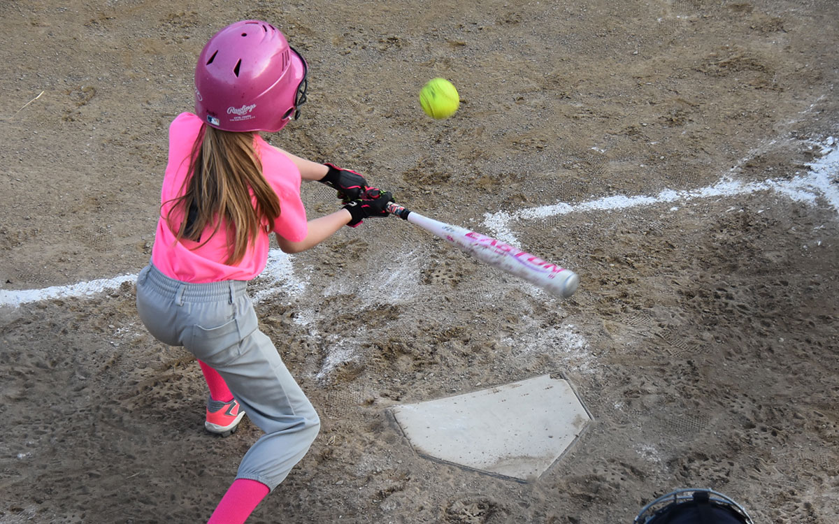 Home Ohio Little League District 1